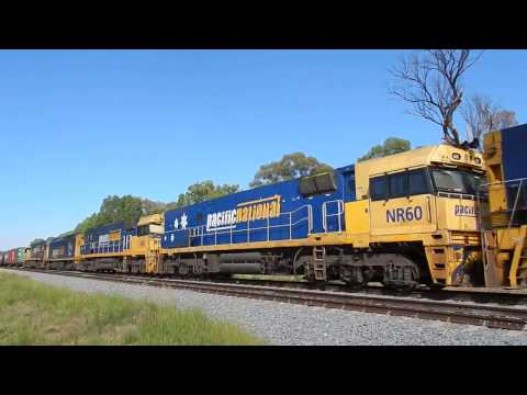 Junee Trains NR66, NR60, NR6, AN2 & NR112 with 4MW2