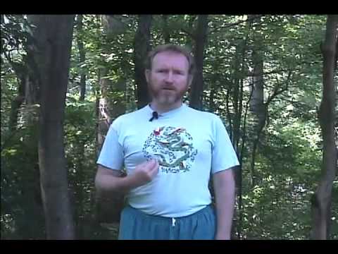 5 Animals + 6 Healing Sounds Qigong (Chi Kung)