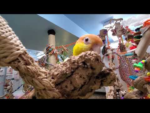 Welcome back to our 2nd recess for this Friday 😀 