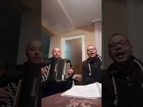 Razbolje se simsir list