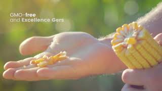 Company GASCO Conventional and organic pet food manufacturer...