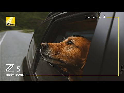 Nikon Z5 korpusas video