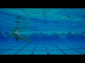 Freestyle Underwater from OTC May 2017