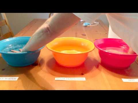 Is it Hot or Cold? The Magic of Skin Sensors