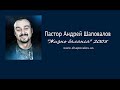 Пастор Андрей Шаповалов Тема: "Жизнь баланса" 2005 