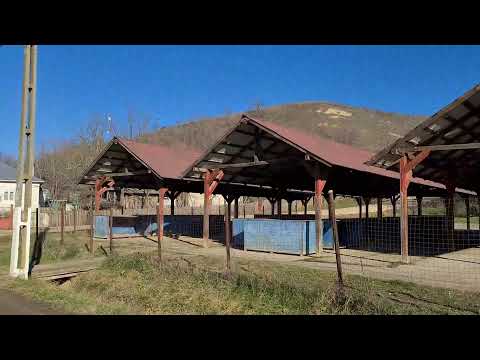 Romania in 30 sec.: Romanian village Beciu, Teleorman county, January 2022
