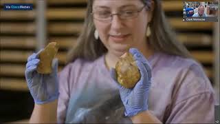 The Gault Archaeological Site and the Peopling of the Americas