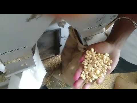 Groundnut Sorting Machine