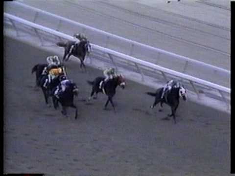 Dynaformer - 1988 Discovery Handicap