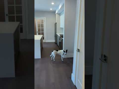 Video of 3193 Washington Street, 309, Boston, MA 02130