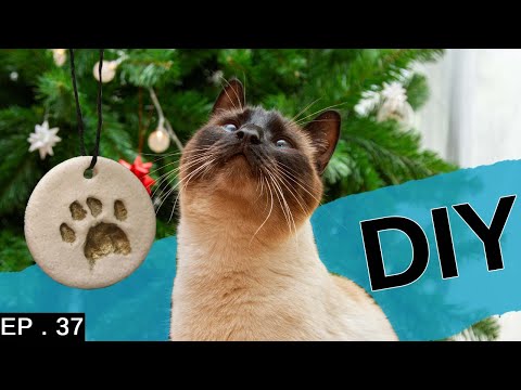 Making Christmas decorations with our Siamese Cat (Adorable paw prints)