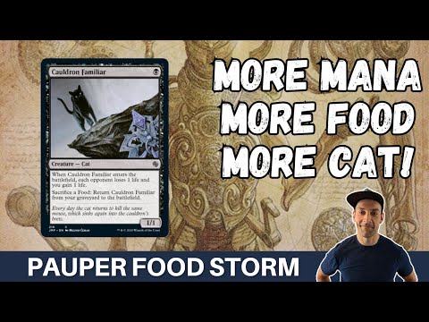 GO BIGGER?! Pauper Cat Food Combo brew keeps getting more interesting! Food Storm!