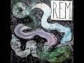 R.E.M. - Camera