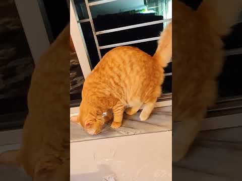 they are happy with each other #love ❤❤❤❤❤