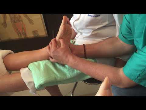 Curs reflexoterapie Scoala Ofelia Arad