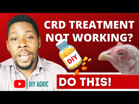 , title : 'CRD in Chickens | Poultry Diseases and Treatment'