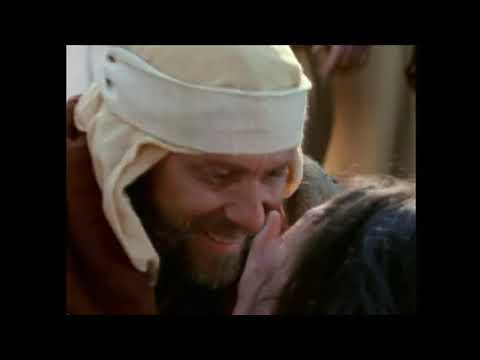 Film: HANDELINGEN  hoofdstukken 15 tot 19 - nieuw 2018 - Acts in Dutch language