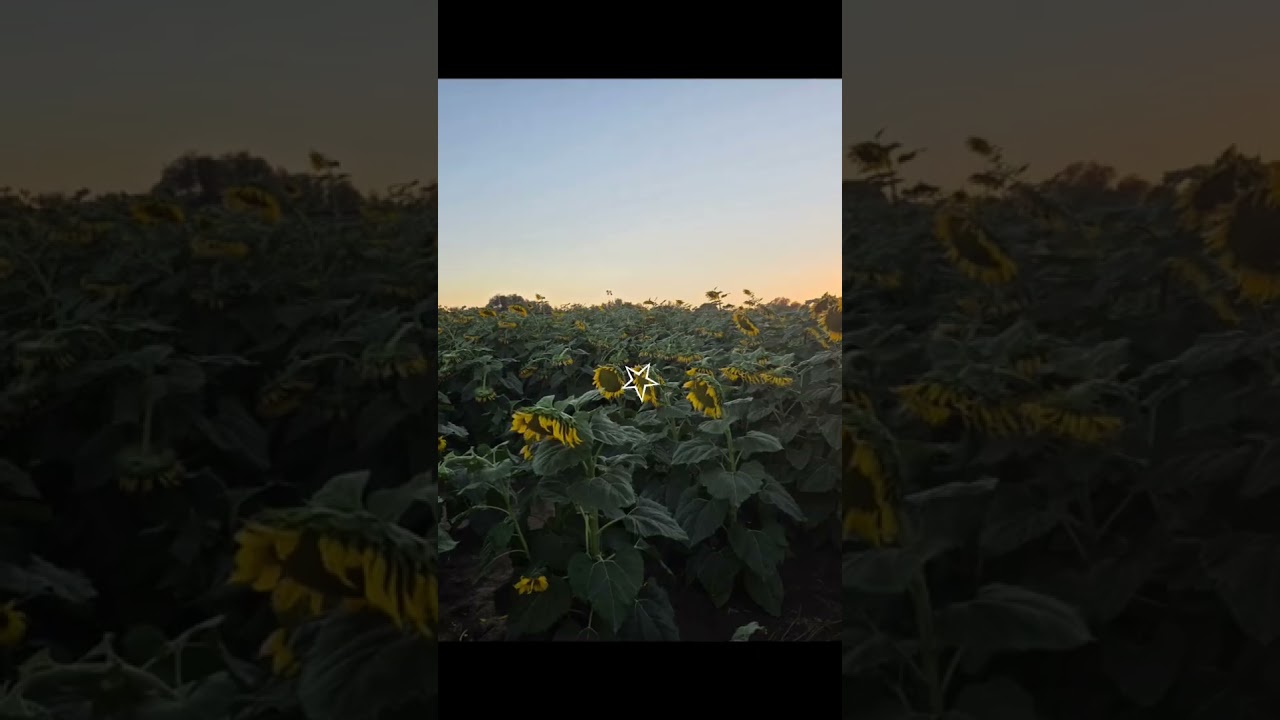 sorry I haven't been posting :( #school