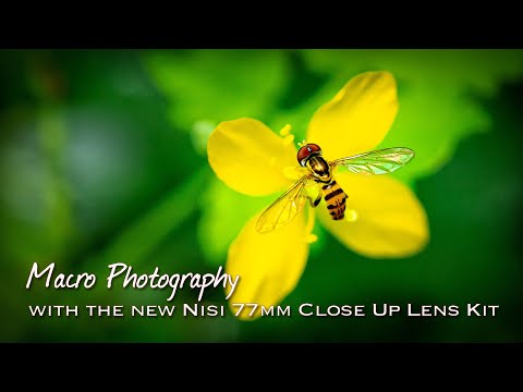 First Look - The NiSi 77mm Close Up Lens