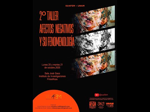 2° Taller Afectos negativos y su fenomenología 