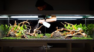 600liter NATURE AQUARIUM aquascape tutorial