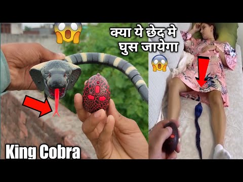 Remote Control Rc Snake Unboxing