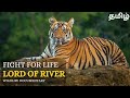 Fight For Life Wild Animals Tamil Documentary
