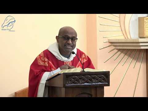 Fr. Leon Pereira | English Homily from Medjugorje | February 6, 2026 | MaryTV