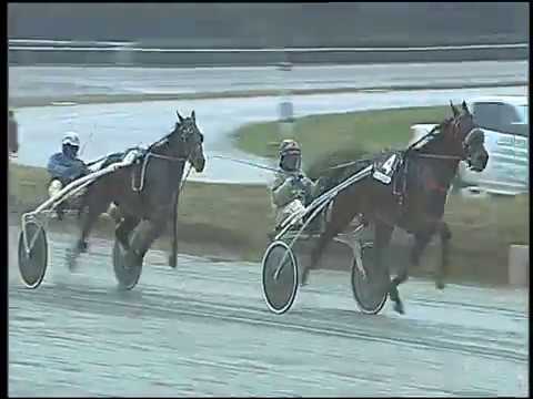 Trotto 03/01/2017 - 1ª corsa