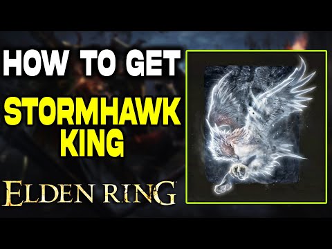 The Stormhawk King