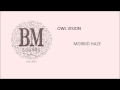 Owl Vision - Morbid Haze [Death Electro] 