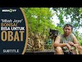 BONSAI INI SELAIN INDAH, JUGA BANYAK MANFAAT BUAT KESEHATAN BONSAI INI SELAIN INDAH, JUGA BANYAK MANFAAT BUAT KESEHATAN