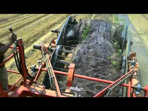 Rocca Industries LLC  Plastic Mulch Retriever