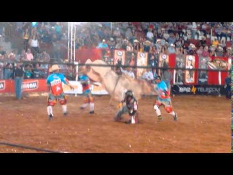 touro boca quente rodeio de colorado 2016