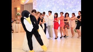 [問卦] 企鵝妹會跳企鵝舞環台嗎？