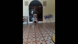 Download lagu Hantu kerusi bergoyang mp3