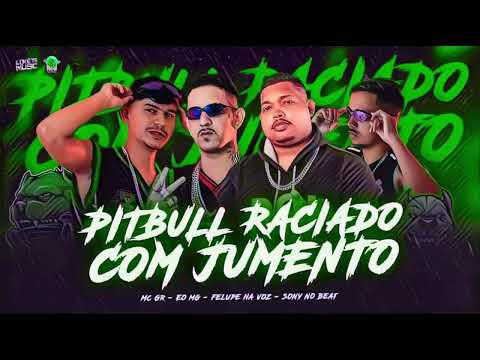 PITBULL RACIADO COM JUMENTO - MC GR - ÉO MG - FELUPE NA VOZ - SONY NO BEAT