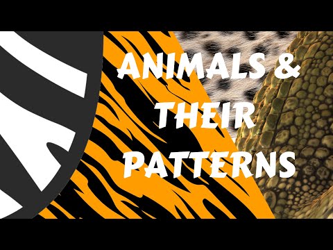 GUESS THE ANIMAL PATTERN! 🐯🦁
