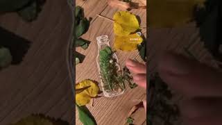 Закладка-гербарий своими руками (поштучно)