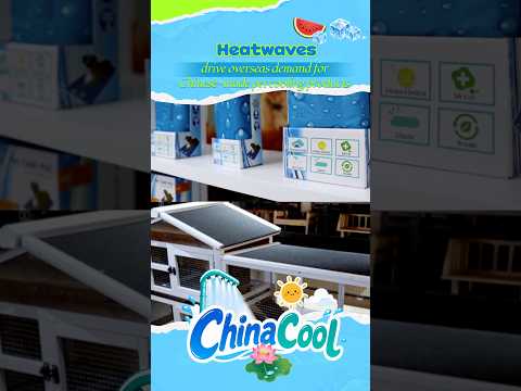 Heatwaves drive overseas demand for Chinese-made pet cooling products