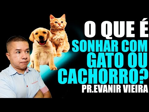 MEANING OF DREAMING ABOUT A DOG OR CAT! Pastor Evanir Vieira