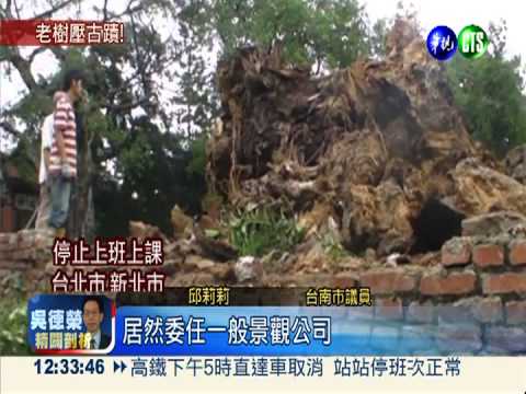 送別老榕大發現! 孔廟史跡被"鎮壓"