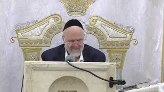 דרשת חג הסוכות תשפ"ו ופרשת האזינו הרב ברוך רוזנבלום שיעור בני ברק (רבנים שונים) - התמונה מוצגת ישירות מתוך אתר האינטרנט יוטיוב. זכויות היוצרים בתמונה שייכות ליוצרה. קישור קרדיט למקור התוכן נמצא בתוך דף הסרטון דרשת חג הסוכות תשפ"ו ופרשת האזינו הרב ברוך רוזנבלום שיעור בני ברק (רבנים שונים) - התמונה מוצגת ישירות מתוך אתר האינטרנט יוטיוב. זכויות היוצרים בתמונה שייכות ליוצרה. קישור קרדיט למקור התוכן נמצא בתוך דף הסרטון