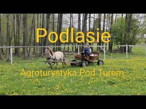 Agroturystyka Pod Turem , Okolice , Podlasie , Suchowola