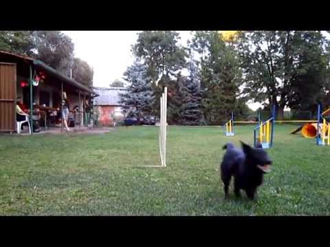 14 9 2012 Crazy   trénink Jirkov