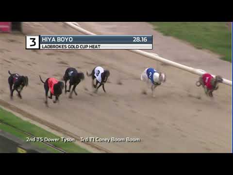 2020 LADBROKES GOLD CUP - HEAT 2 - T3 HIYA BOYO