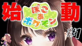 ぽこ あ ポケモン｜街を作ります。皆の過ごしやすい街を…。【睡眠導入】【作業用BGM】