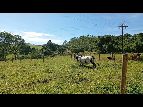 Uma bela fazenda perto de Arceburgo (MG)