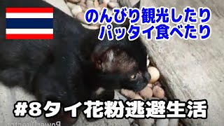 タイ花粉逃避生活#8 のんびり観光したりパッタイ食べたり