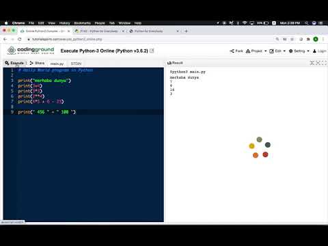 python giris seviye ders 1 (python basics lesson 1) ilk python programini yazmak